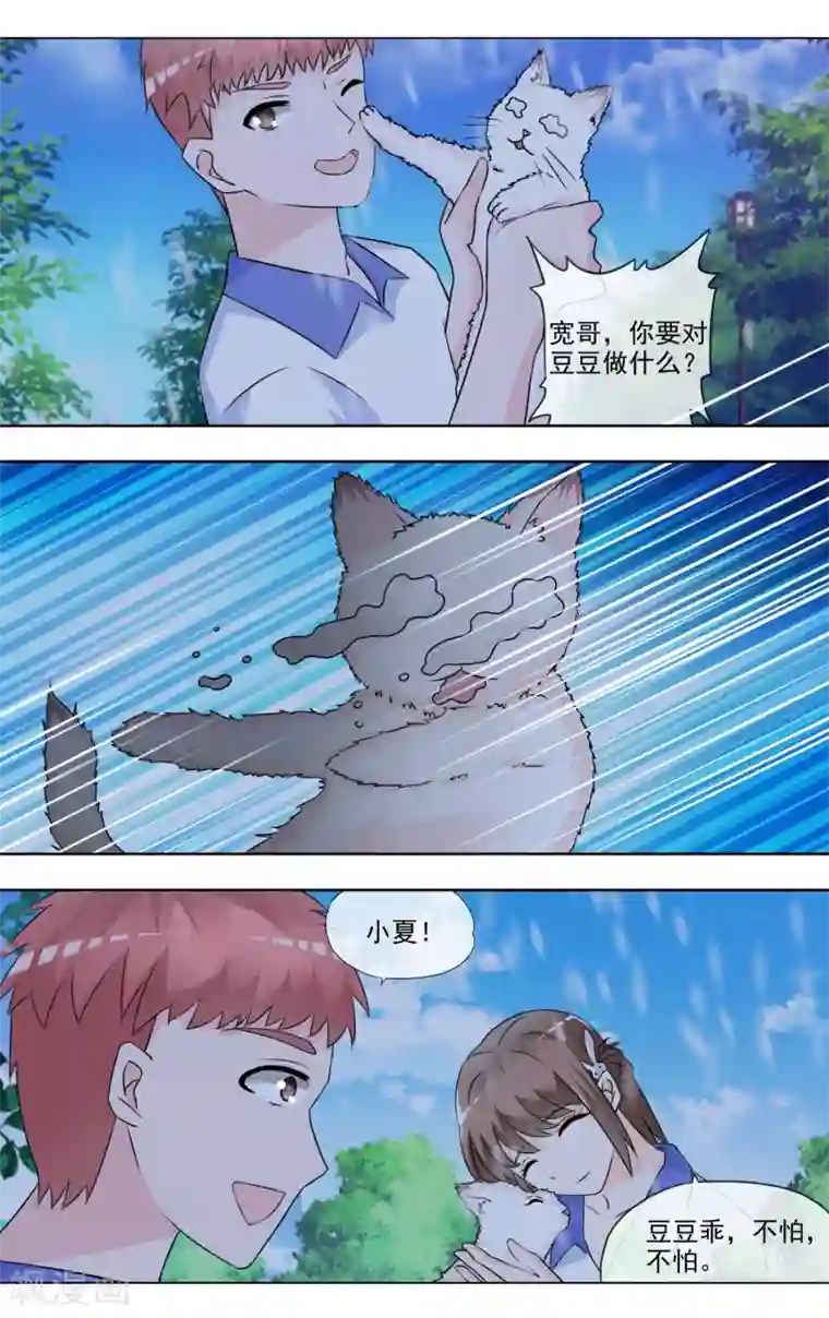 浅夏初雨第32话 可怜的豆豆