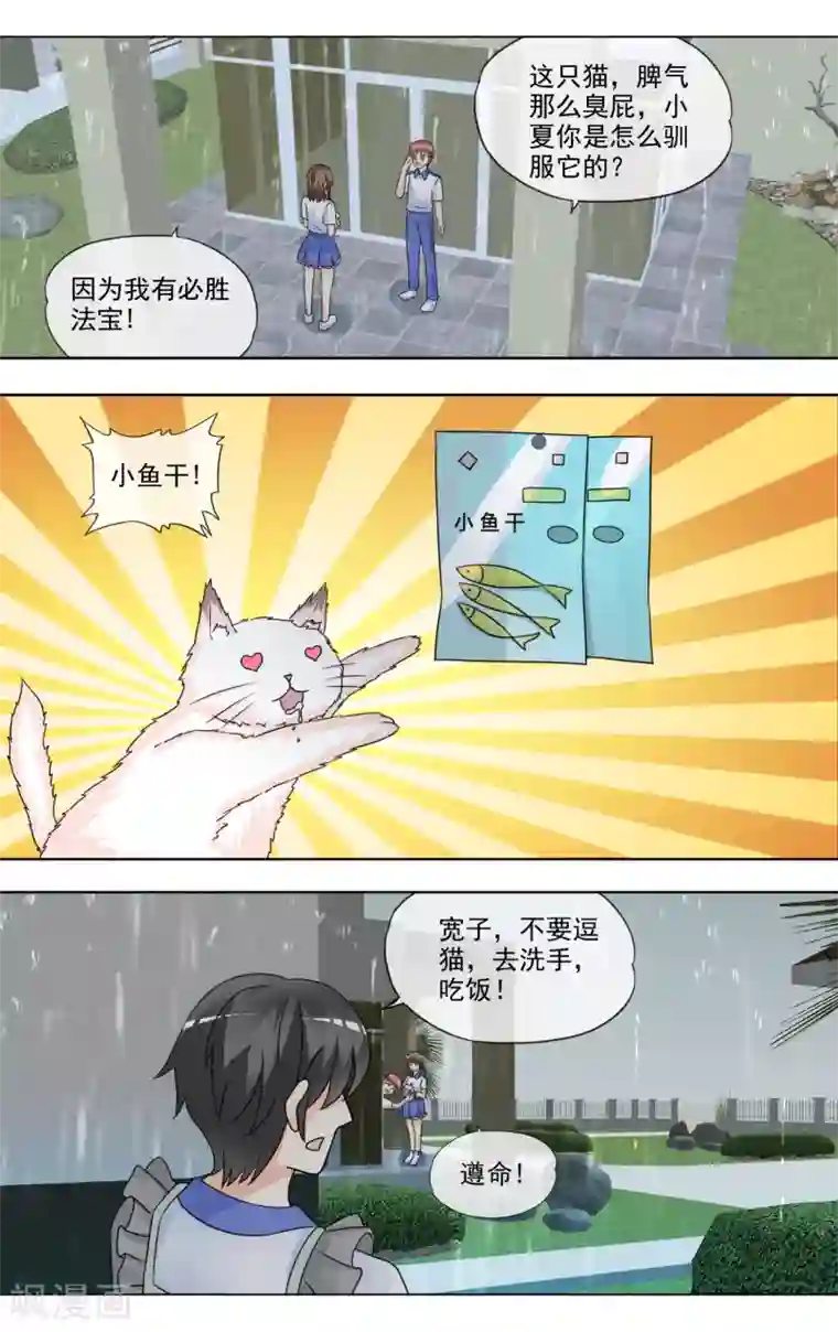 浅夏初雨第32话 可怜的豆豆
