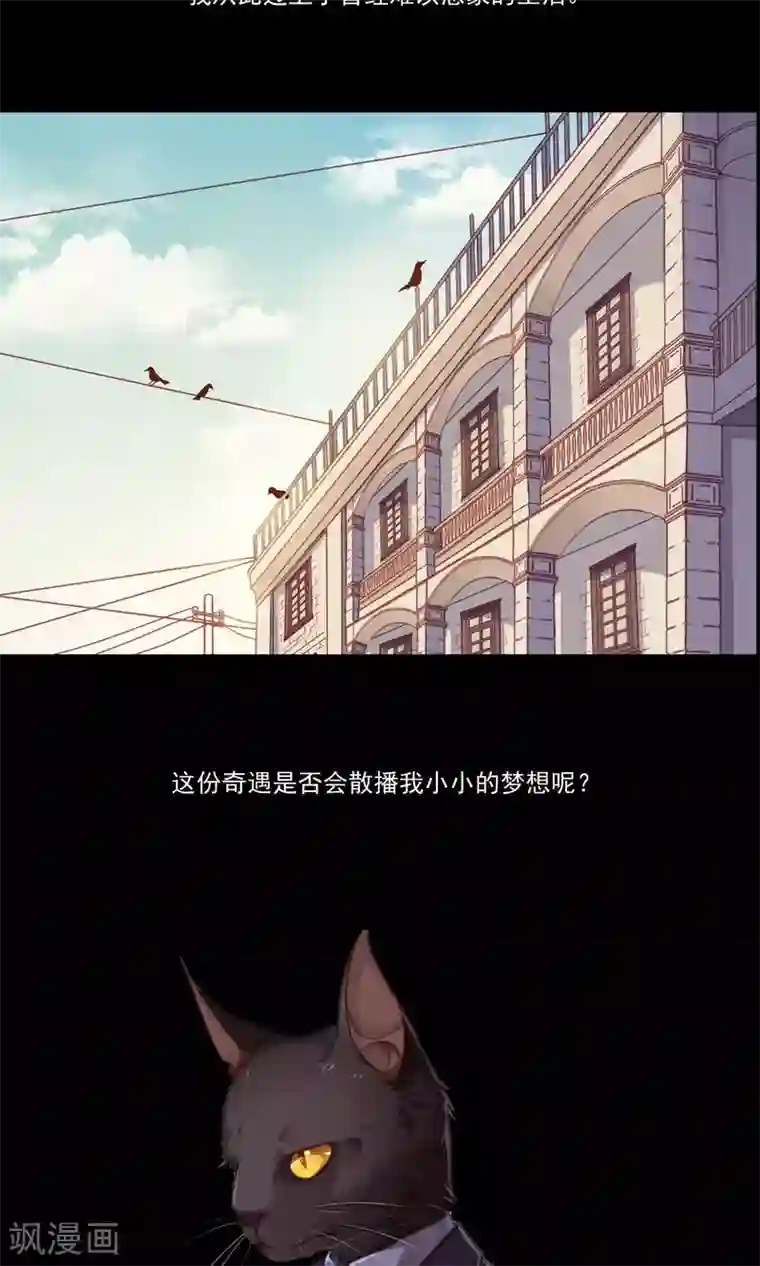 绿石的设计师预告