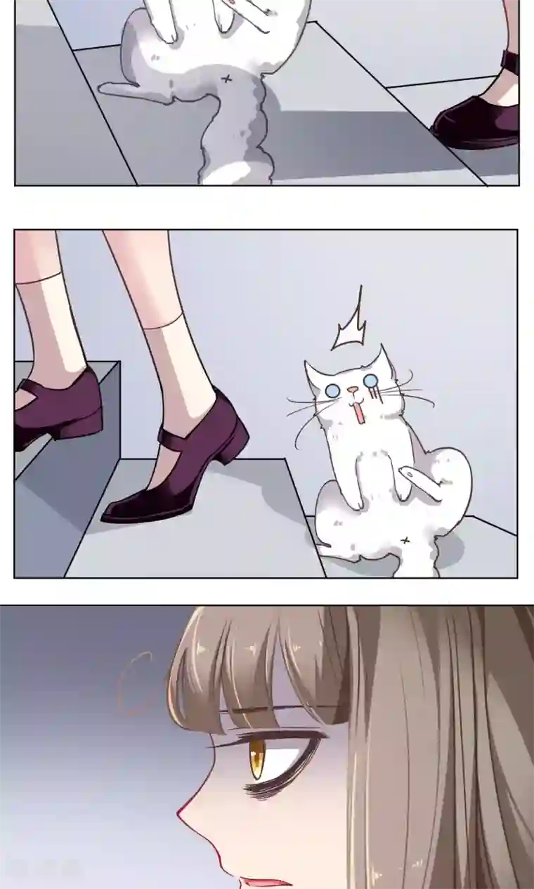 みかん堂桃子勇气君漫画第32话 决心