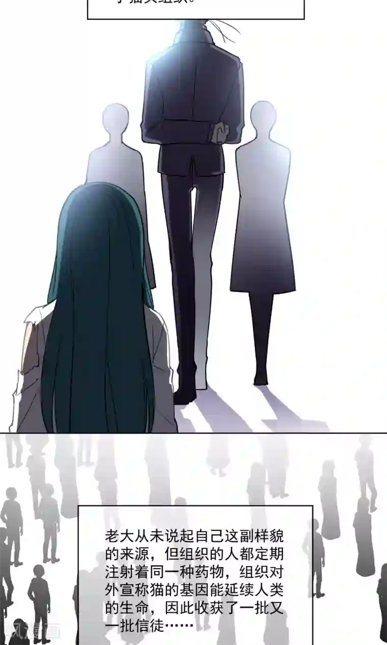 绿石的设计师第39话 韩沐雪的过去