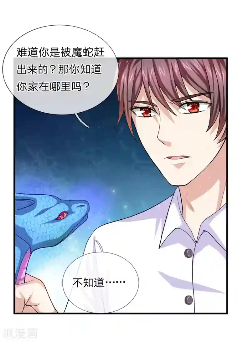 绝世飞刀第143话 小糊涂蛇