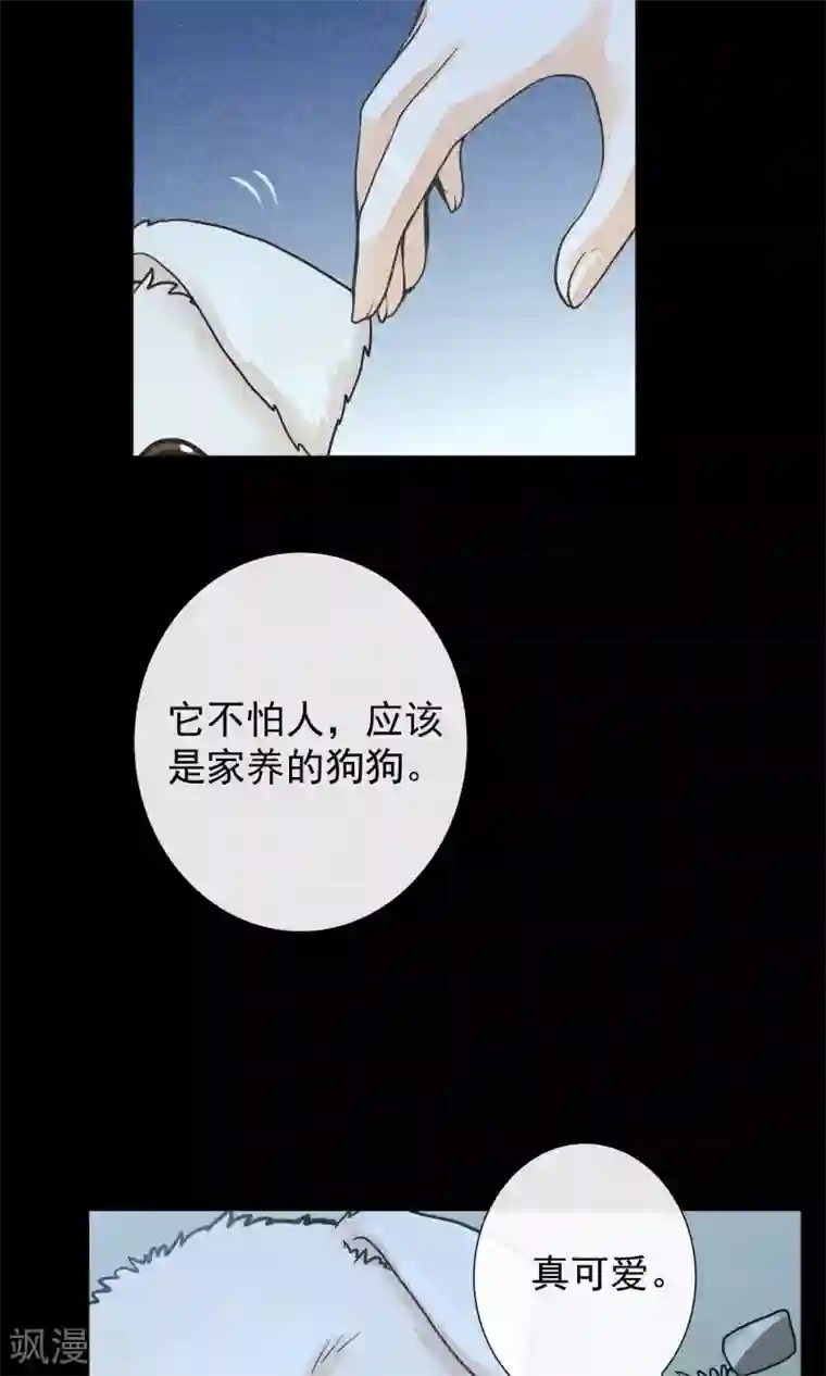 一周女友第11话 突如其来的大雨