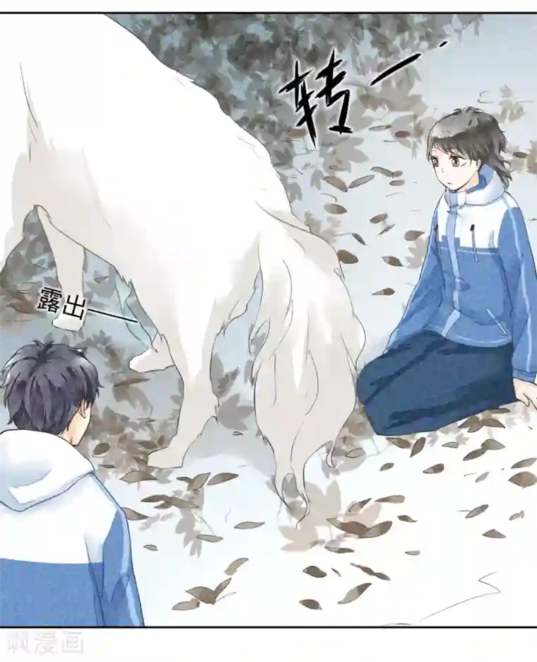 一周女友第46话 许愿