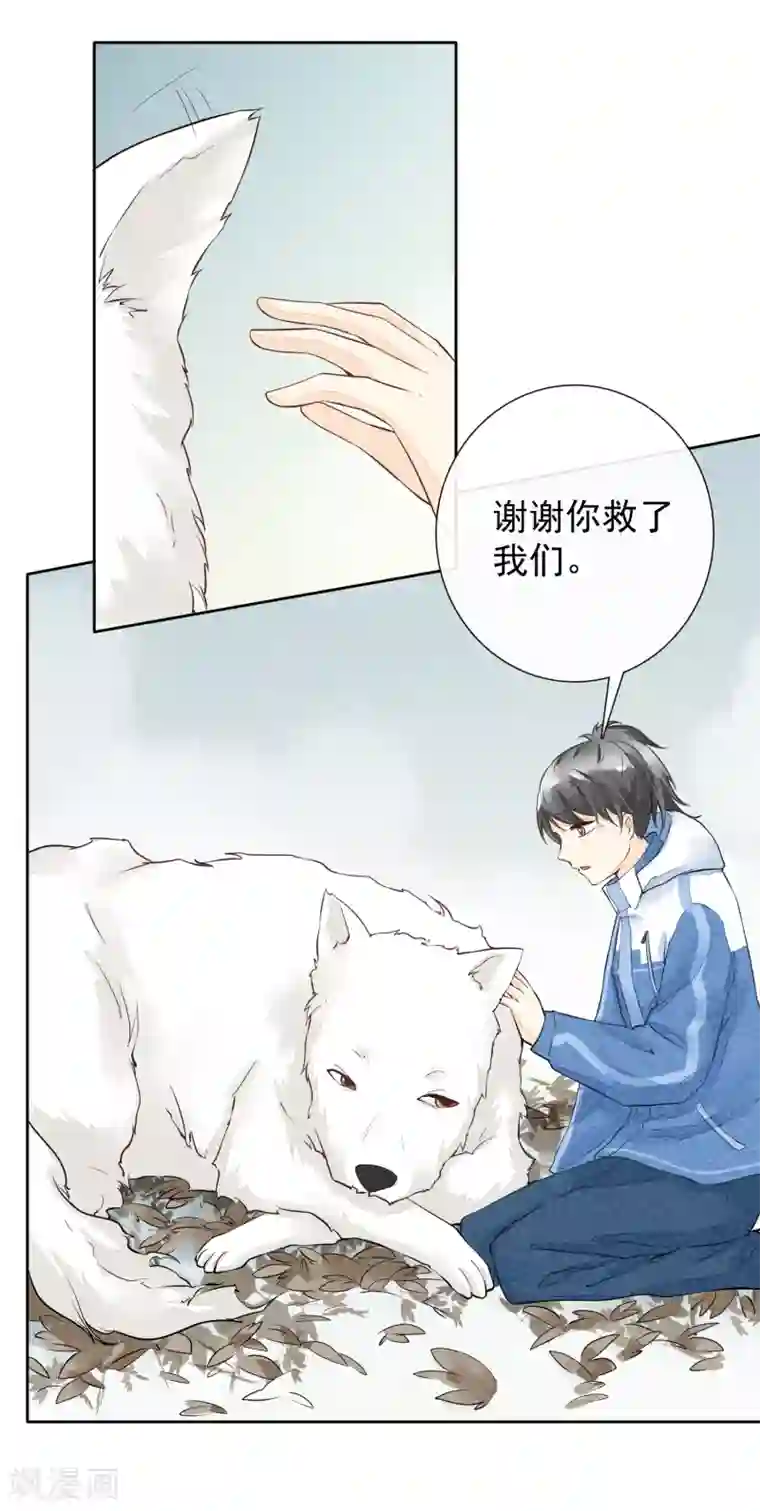 一周女友第46话 许愿