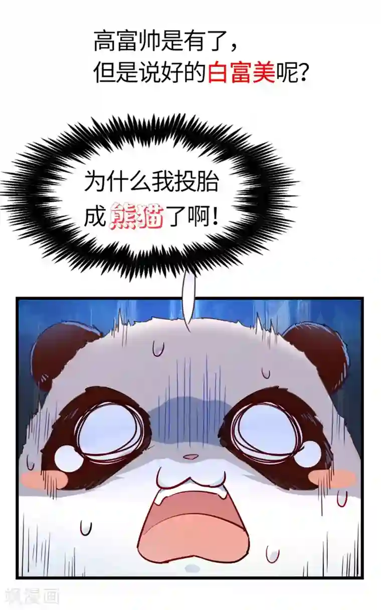 萌妃来袭：天降熊猫求抱抱序章