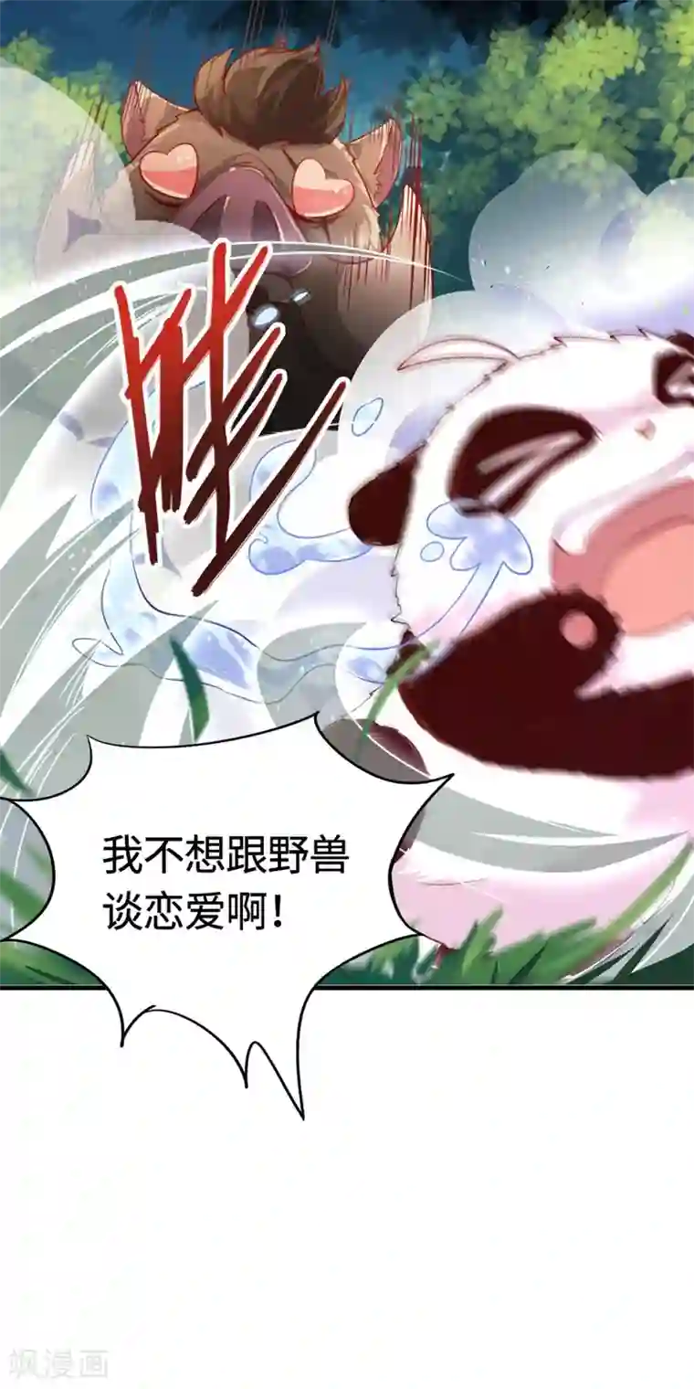 萌妃来袭：天降熊猫求抱抱序章