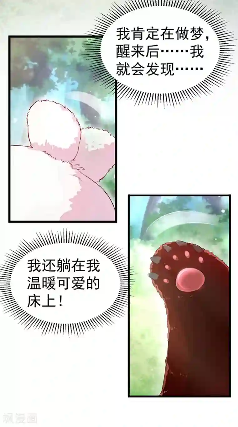 萌妃来袭：天降熊猫求抱抱第1话 我变成熊猫了？