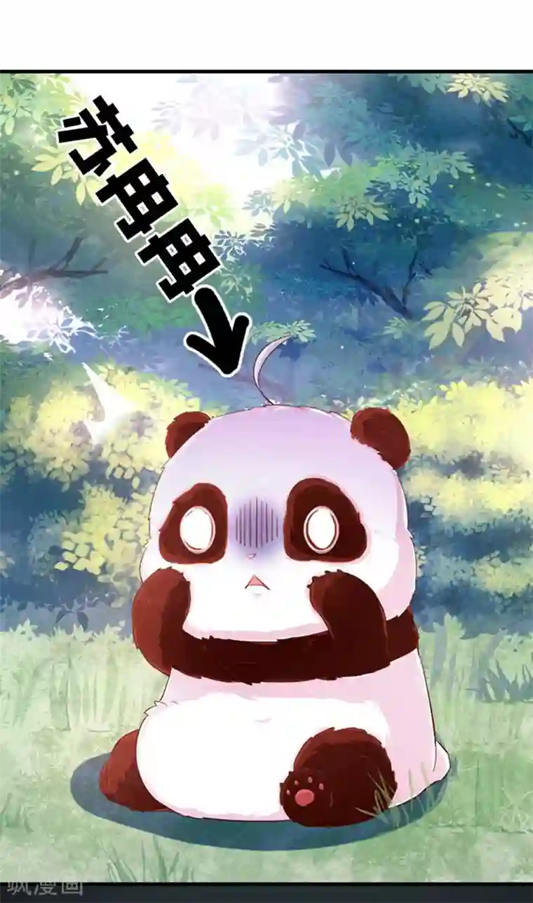 萌妃来袭：天降熊猫求抱抱第1话 我变成熊猫了？