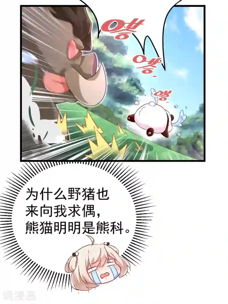 萌妃来袭：天降熊猫求抱抱第2话 帅哥从天而降