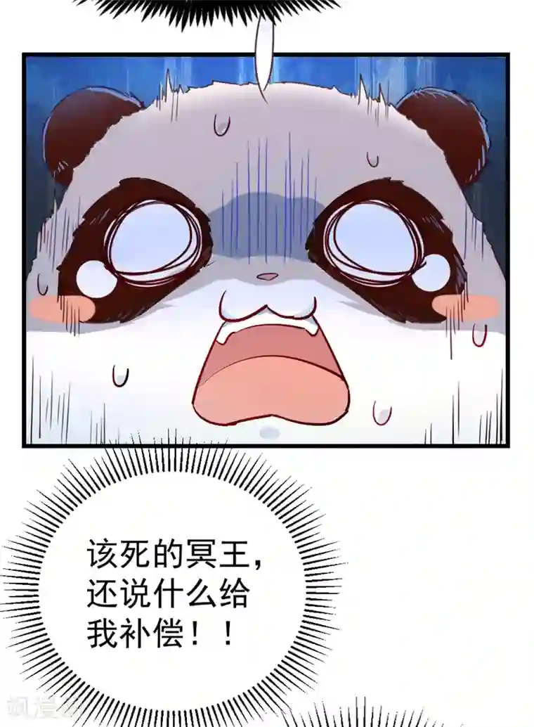 萌妃来袭：天降熊猫求抱抱第2话 帅哥从天而降