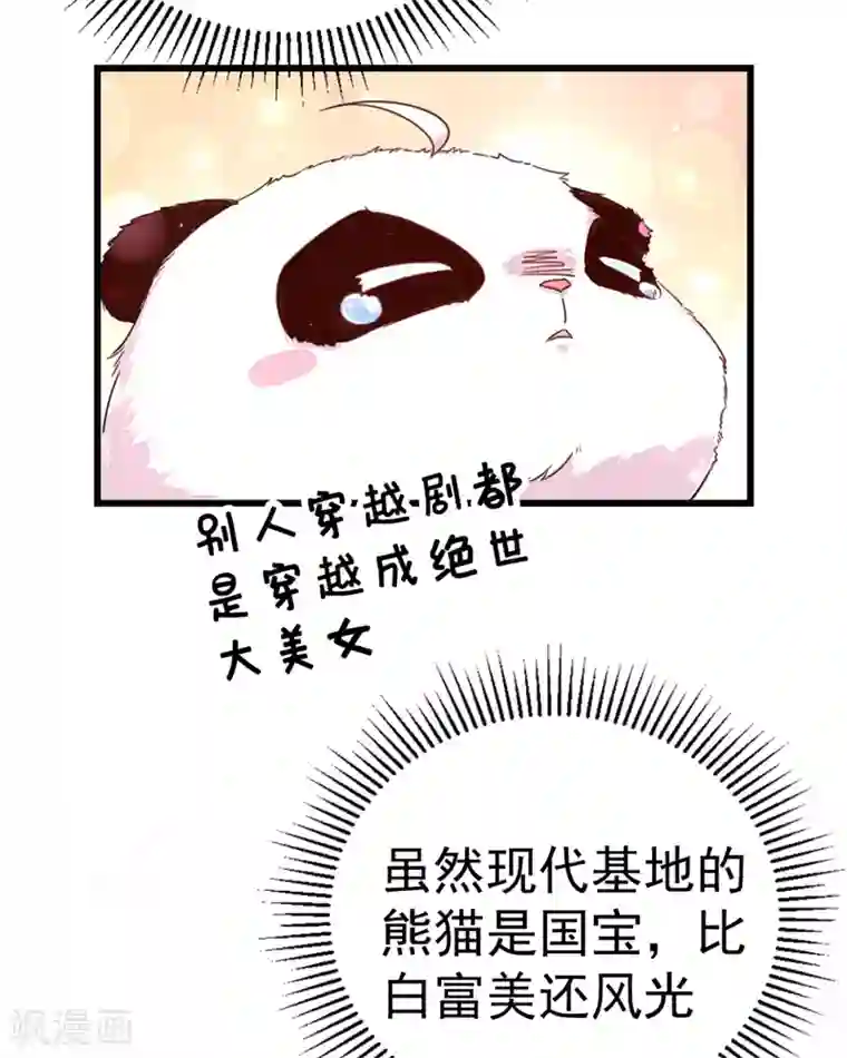 萌妃来袭：天降熊猫求抱抱第2话 帅哥从天而降