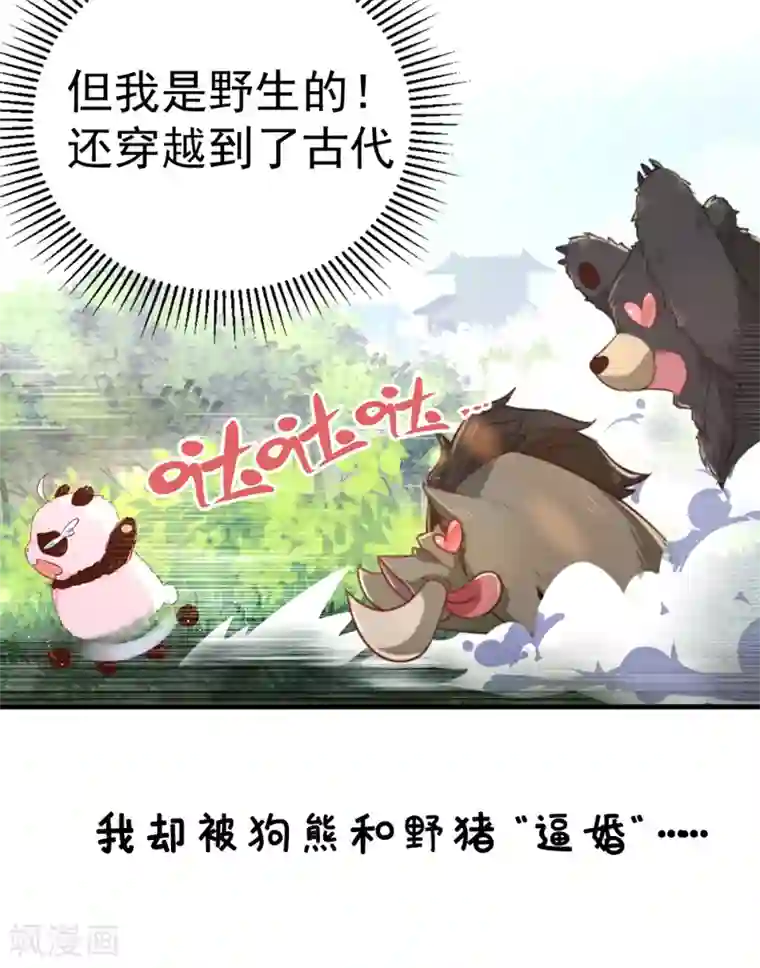 萌妃来袭：天降熊猫求抱抱第2话 帅哥从天而降