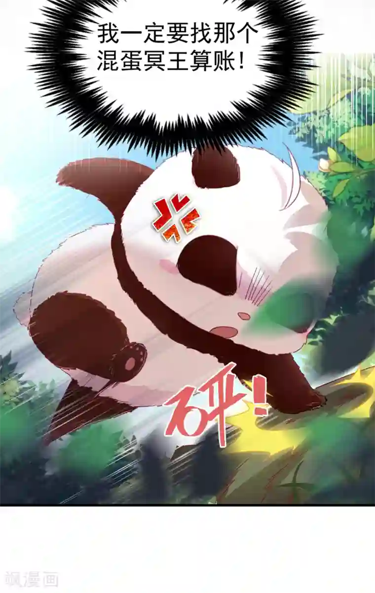萌妃来袭：天降熊猫求抱抱第2话 帅哥从天而降