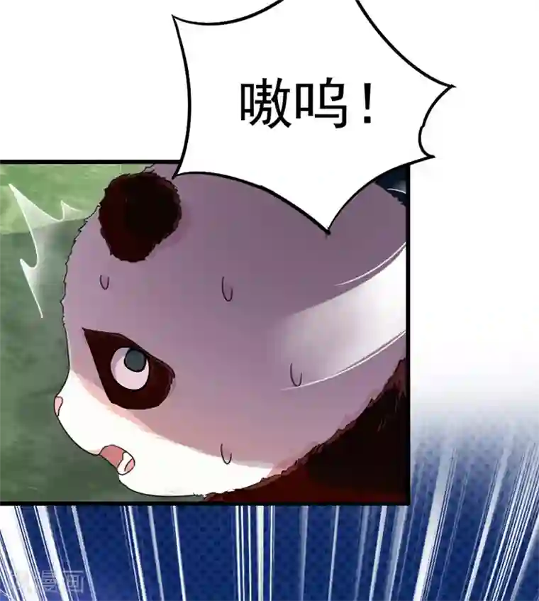 萌妃来袭：天降熊猫求抱抱第2话 帅哥从天而降