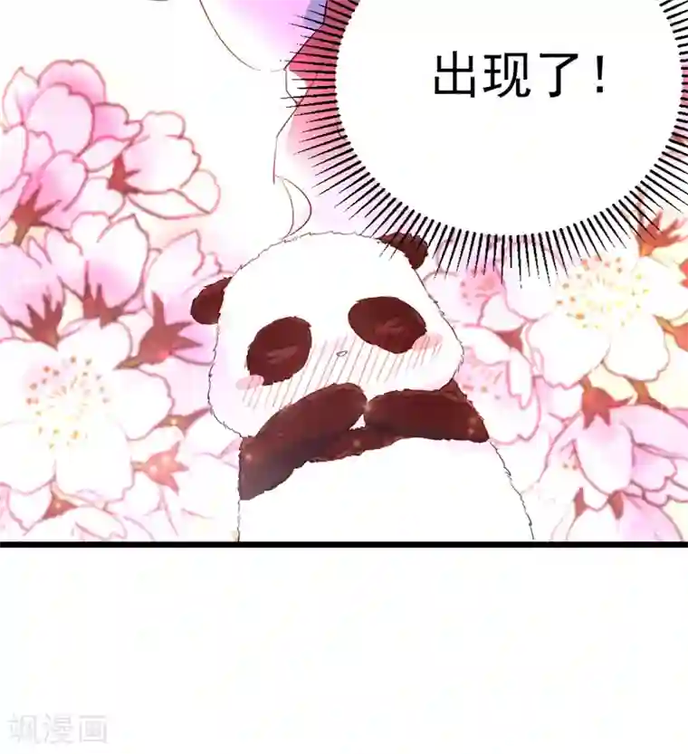 萌妃来袭：天降熊猫求抱抱第2话 帅哥从天而降