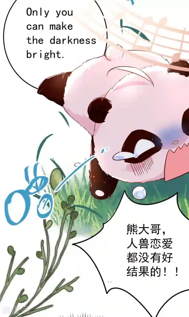 萌妃来袭：天降熊猫求抱抱第2话 帅哥从天而降