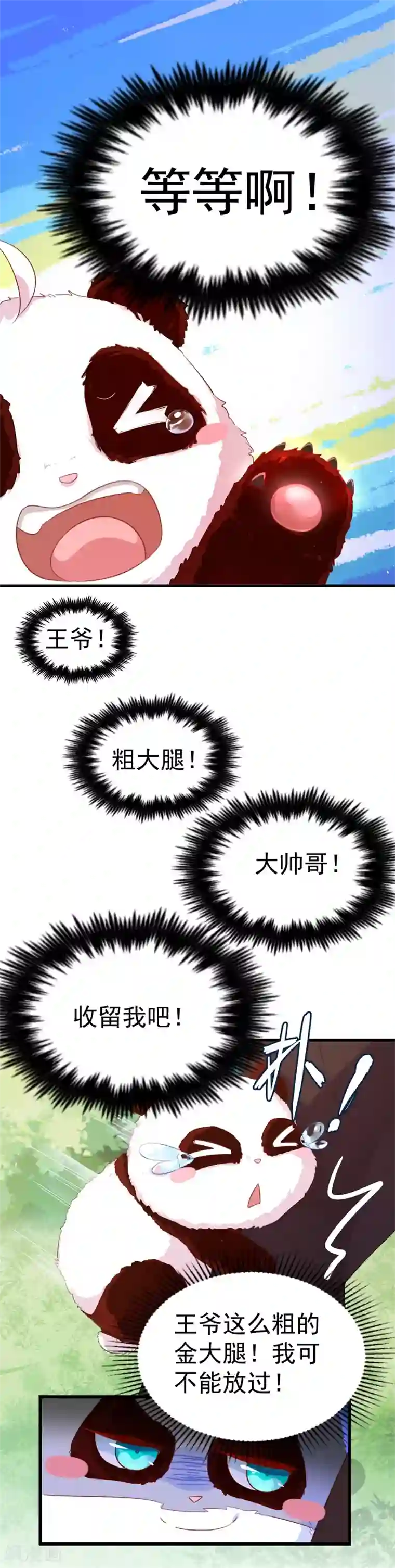 萌妃来袭：天降熊猫求抱抱第3话 想做熊猫的铲屎官吗？