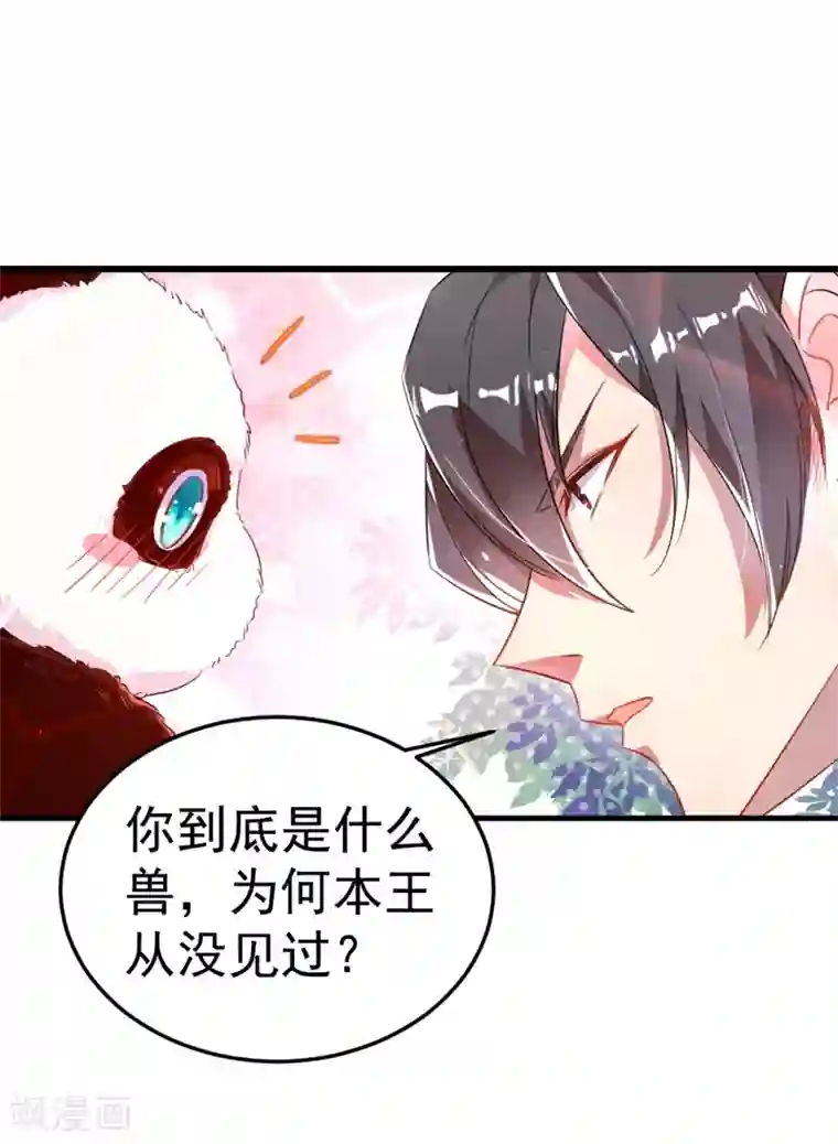 萌妃来袭：天降熊猫求抱抱第3话 想做熊猫的铲屎官吗？