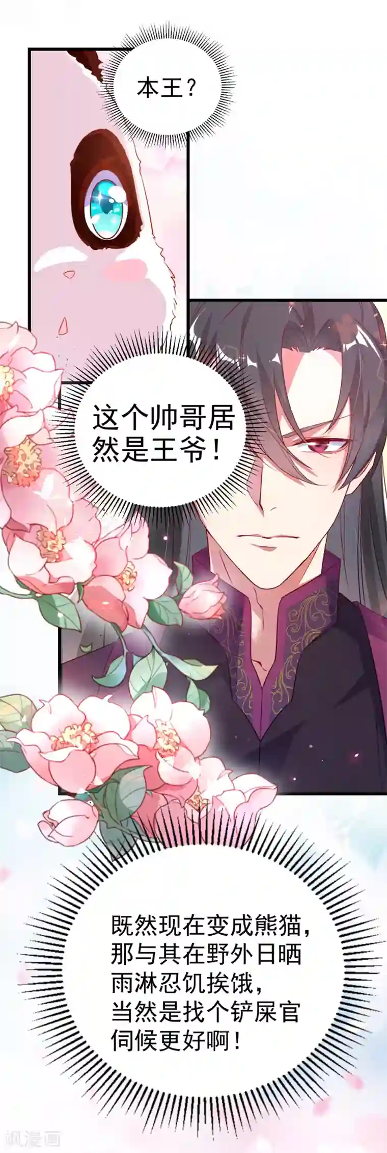 萌妃来袭：天降熊猫求抱抱第3话 想做熊猫的铲屎官吗？