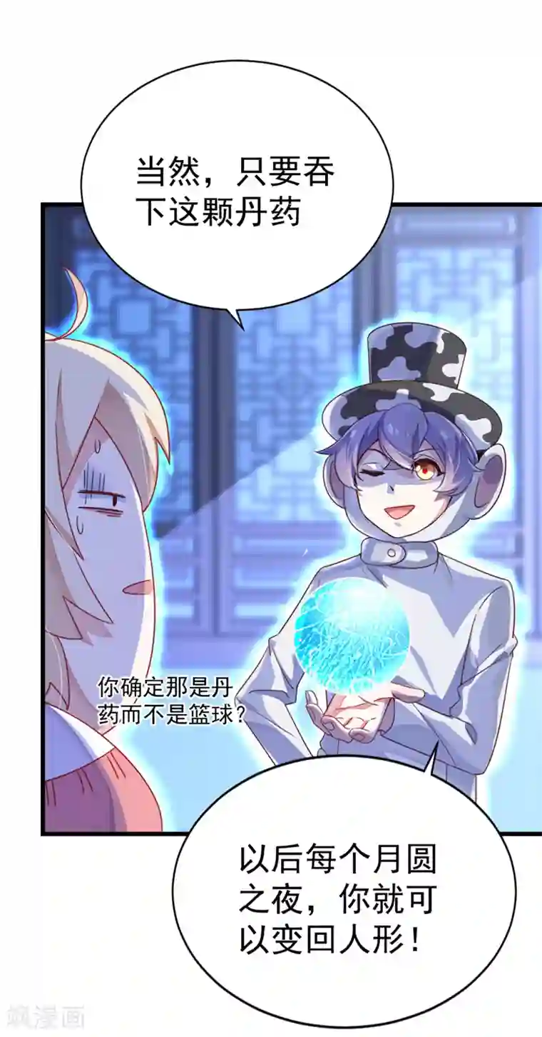 萌妃来袭：天降熊猫求抱抱第10话 我恢复人形了！