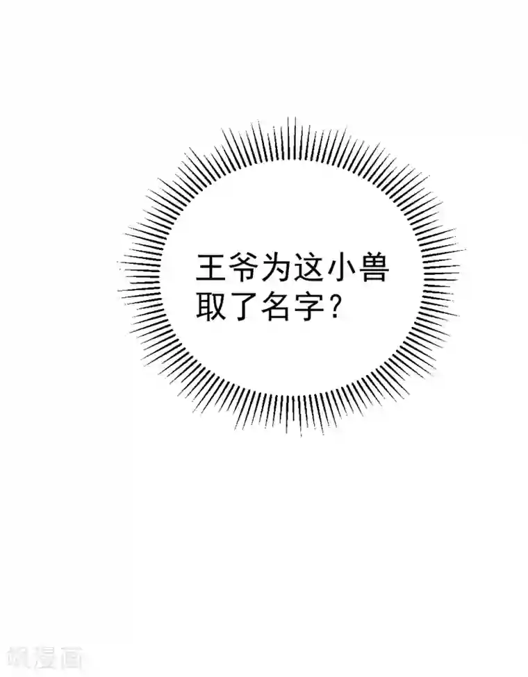萌妃来袭：天降熊猫求抱抱第11话 两人同款包