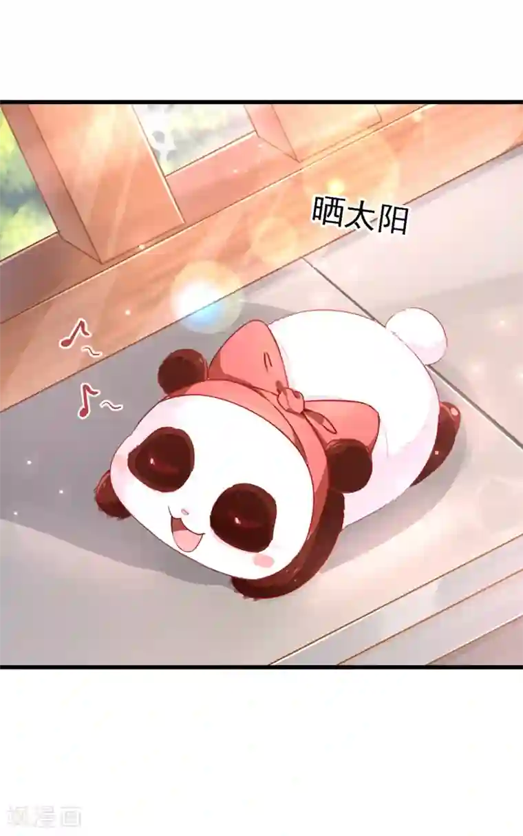 萌妃来袭：天降熊猫求抱抱第11话 两人同款包