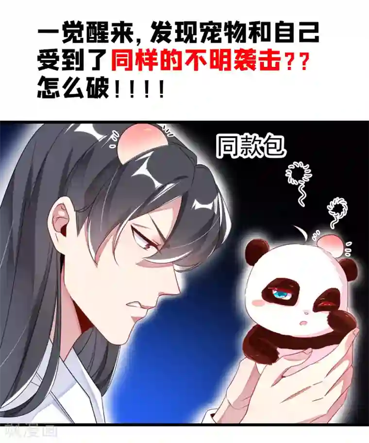 萌妃来袭：天降熊猫求抱抱第11话 两人同款包