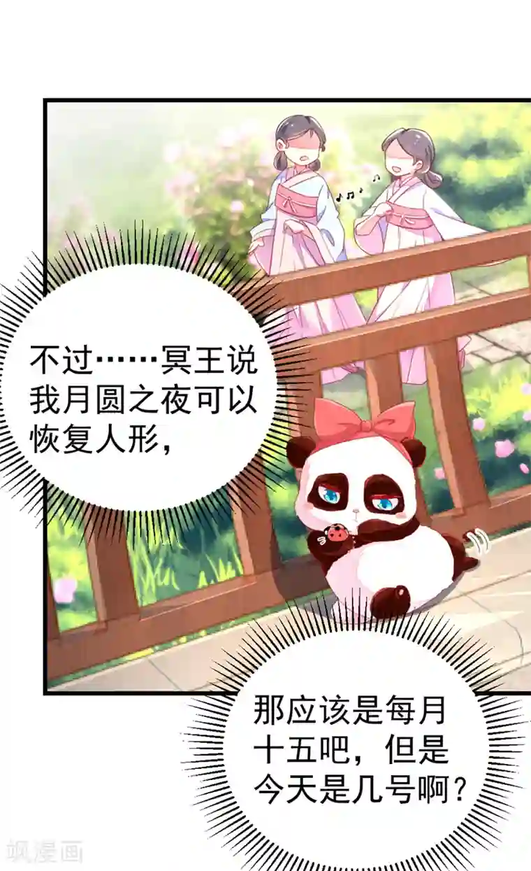 萌妃来袭：天降熊猫求抱抱第12话 怎么电铲屎官