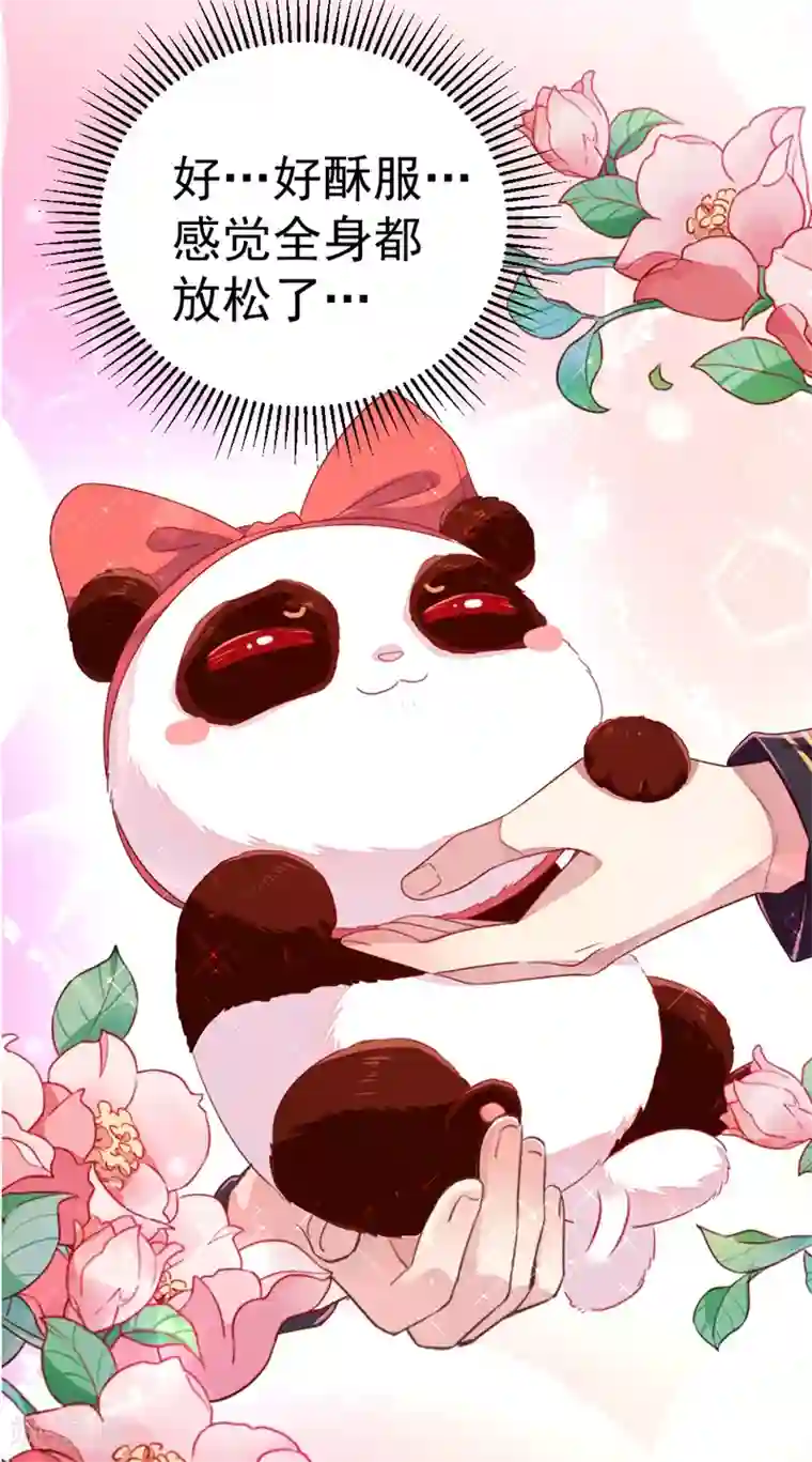 萌妃来袭：天降熊猫求抱抱第13话 一起被雷劈？