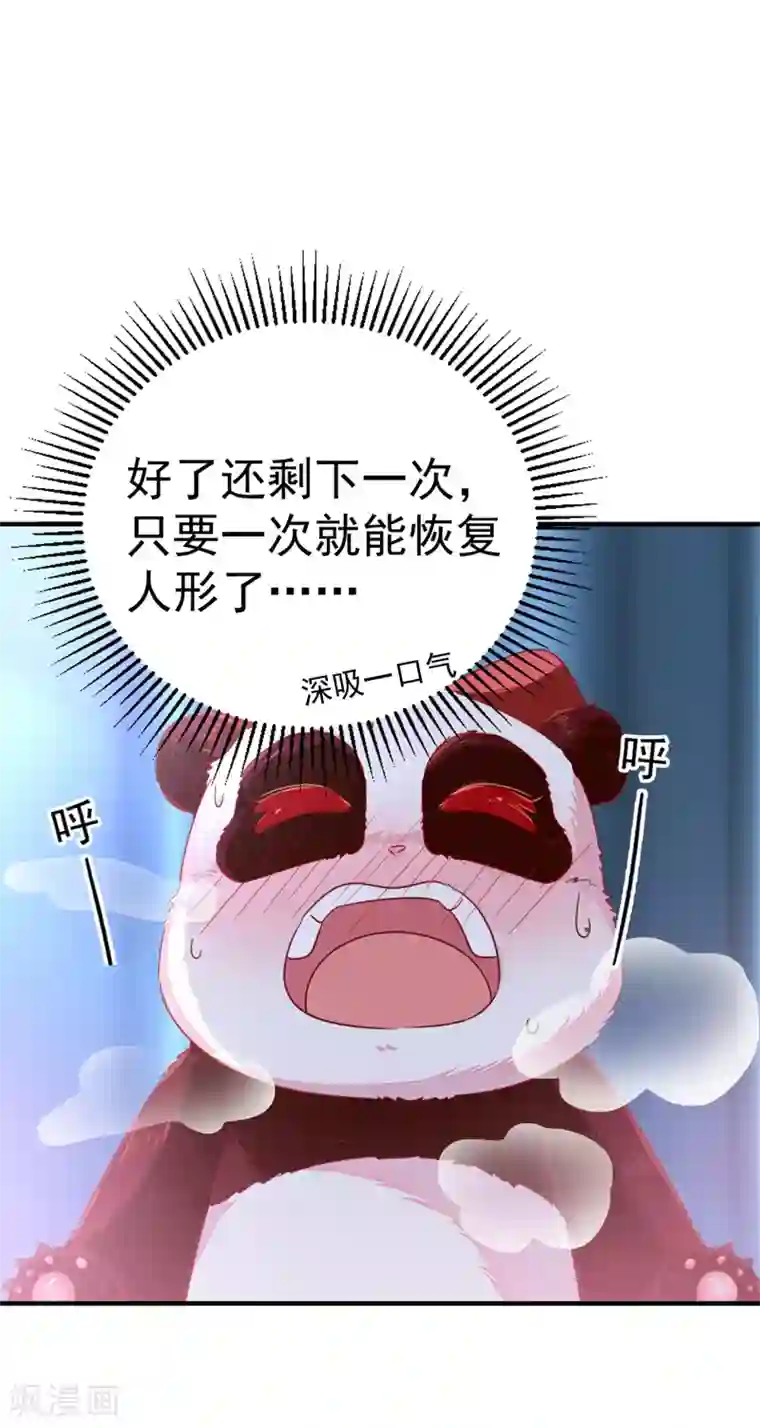 萌妃来袭：天降熊猫求抱抱第15话 没经验的初吻