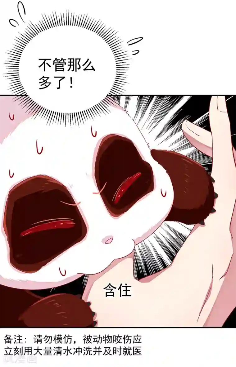 萌妃来袭：天降熊猫求抱抱第21话 鸡翅有点硬