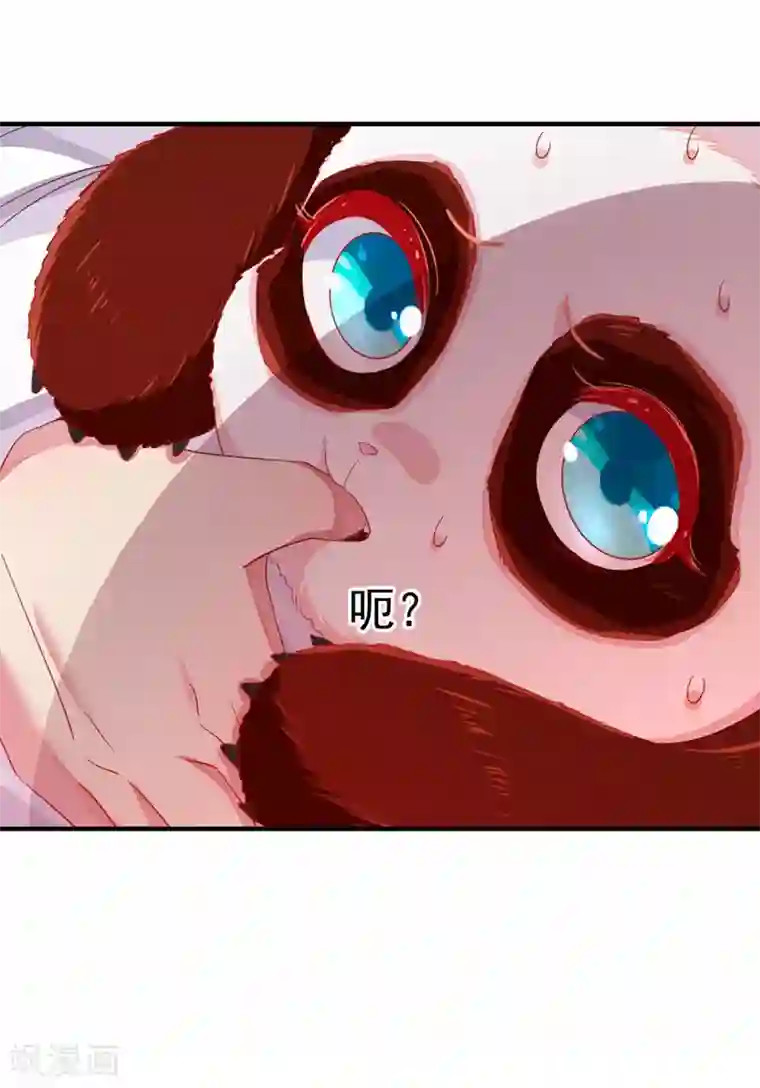 萌妃来袭：天降熊猫求抱抱第21话 鸡翅有点硬