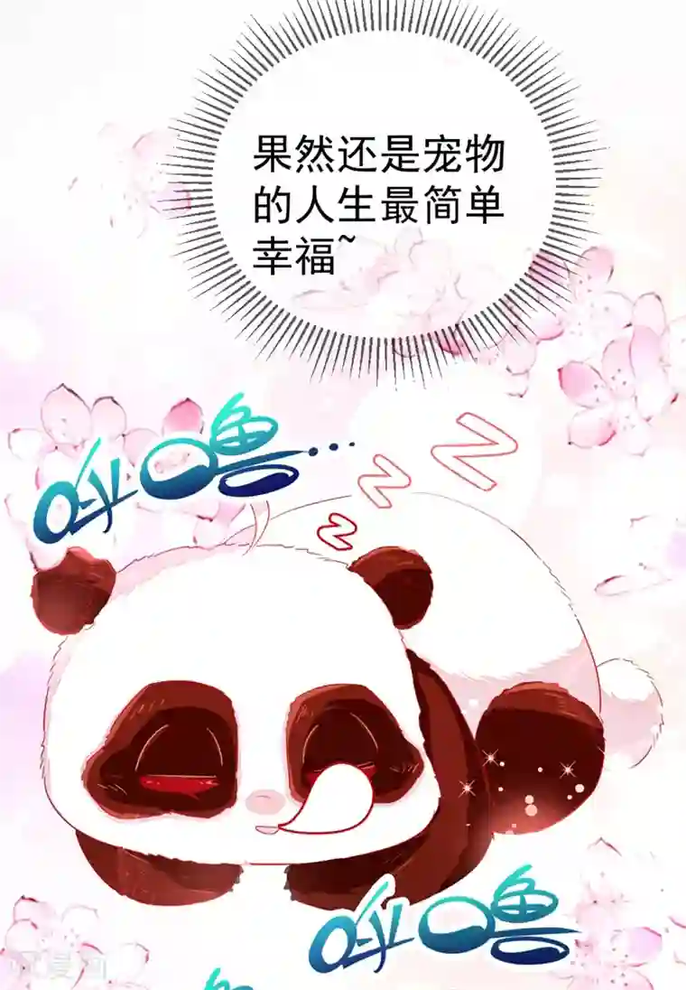 萌妃来袭：天降熊猫求抱抱第21话 鸡翅有点硬