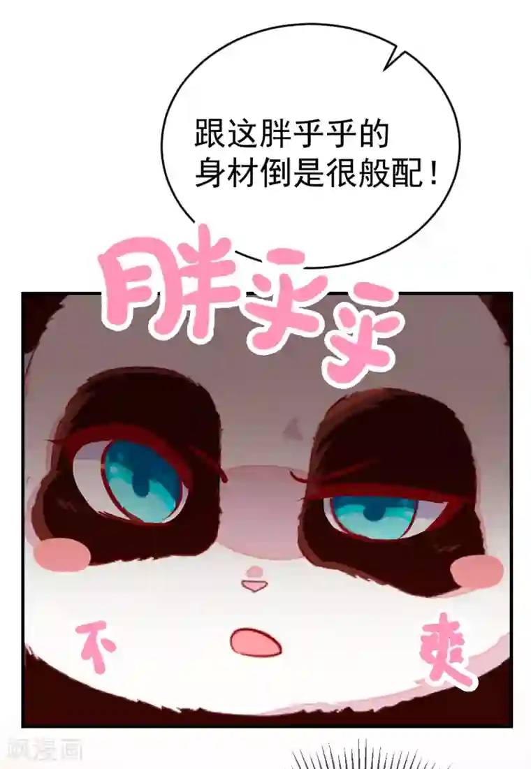 萌妃来袭：天降熊猫求抱抱第22话 它有名字