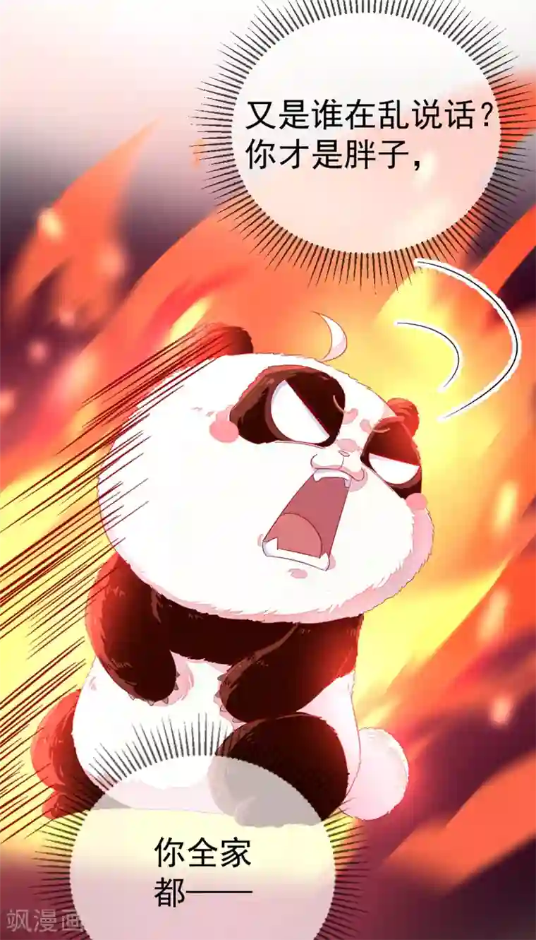 萌妃来袭：天降熊猫求抱抱第22话 它有名字