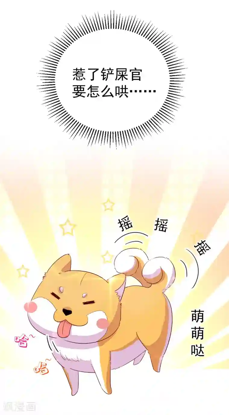 萌妃来袭：天降熊猫求抱抱第22话 它有名字