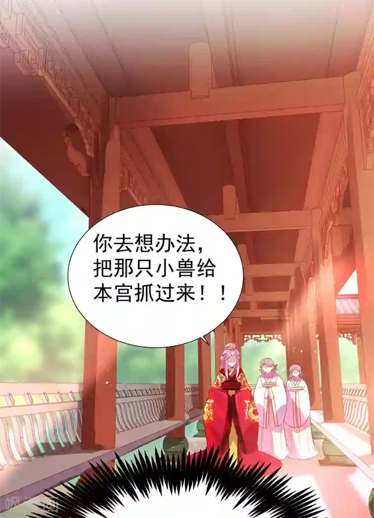 萌妃来袭：天降熊猫求抱抱第23话 王爷的cp登场