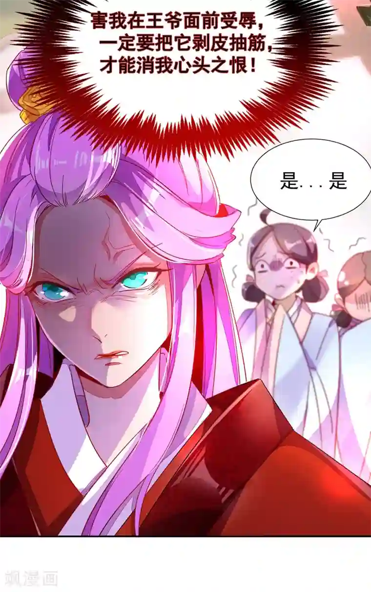 萌妃来袭：天降熊猫求抱抱第23话 王爷的cp登场