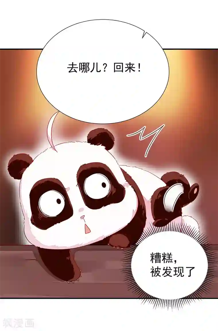 萌妃来袭：天降熊猫求抱抱第23话 王爷的cp登场