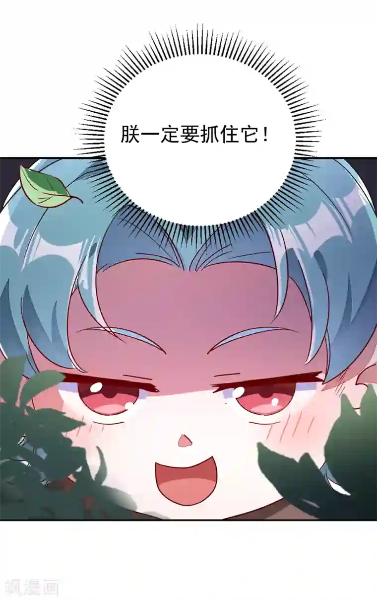 萌妃来袭：天降熊猫求抱抱第24话 神仙姐姐？