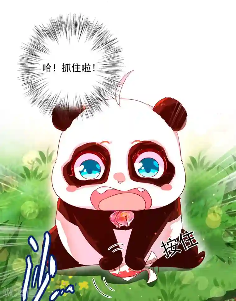 萌妃来袭：天降熊猫求抱抱第24话 神仙姐姐？