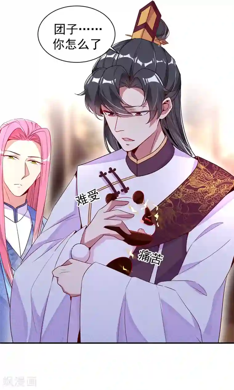 萌妃来袭：天降熊猫求抱抱第27话 团子，本王不许你有事！