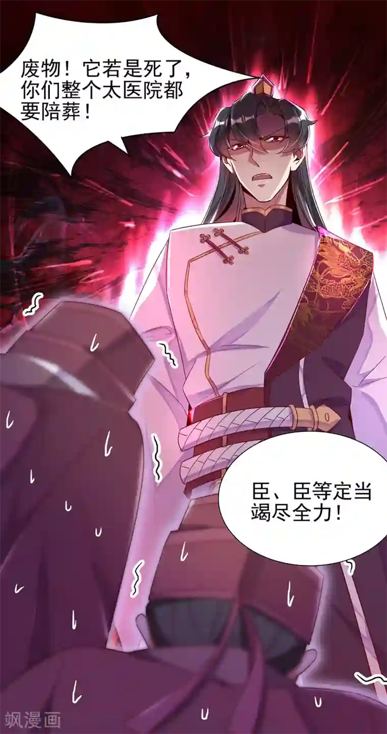 萌妃来袭：天降熊猫求抱抱第27话 团子，本王不许你有事！