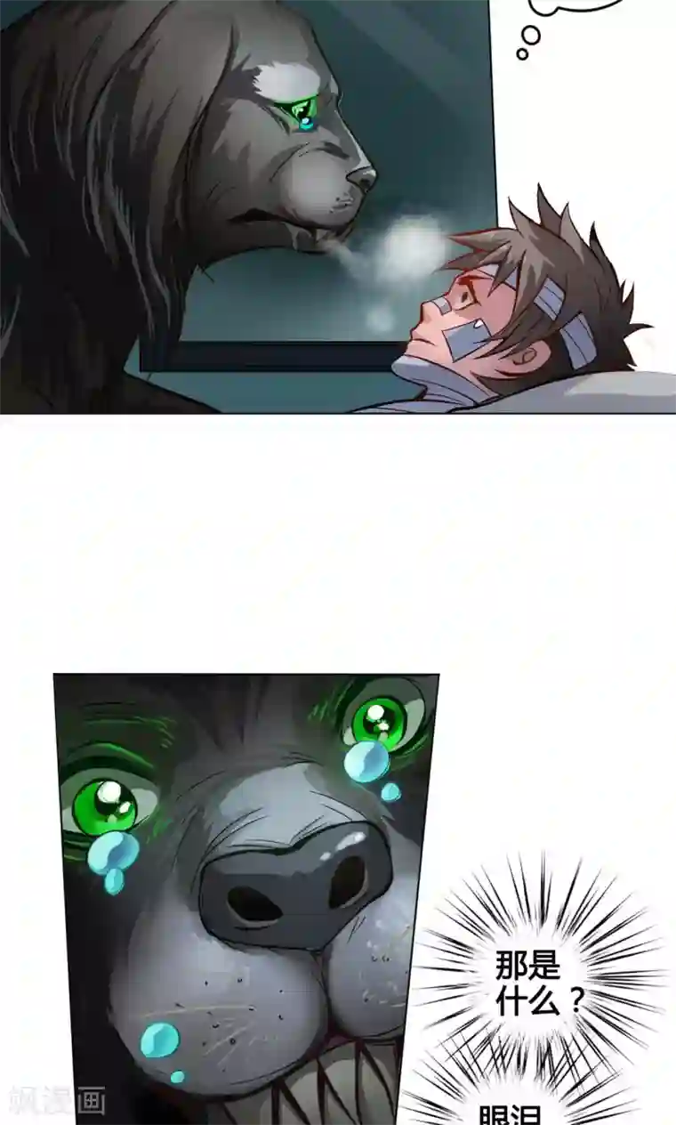 紫微神谭第2话 黑狗