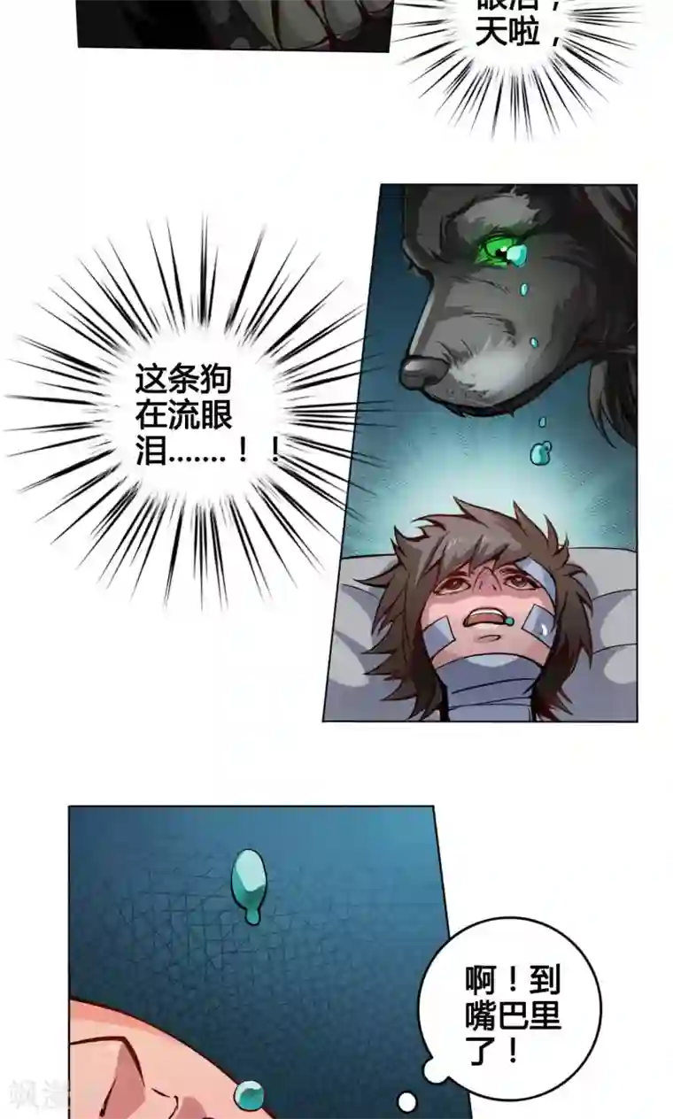 紫微神谭第2话 黑狗