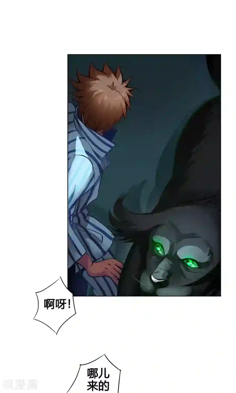 快手样儿儿儿儿跟过谁第3话 鼠蜥