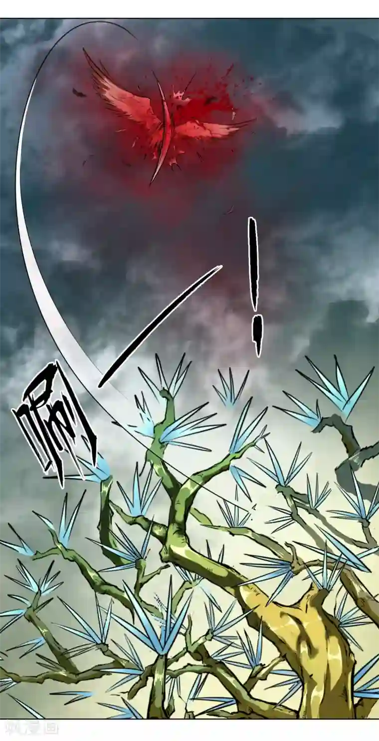 成本人视频动漫免费无码