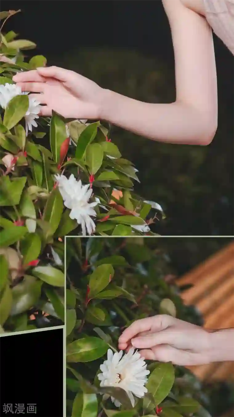 高调冷婚第11话