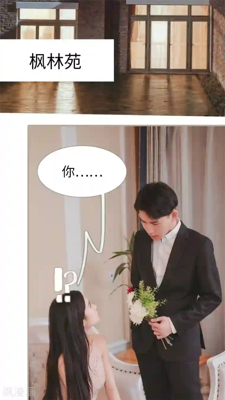 高调冷婚第12话